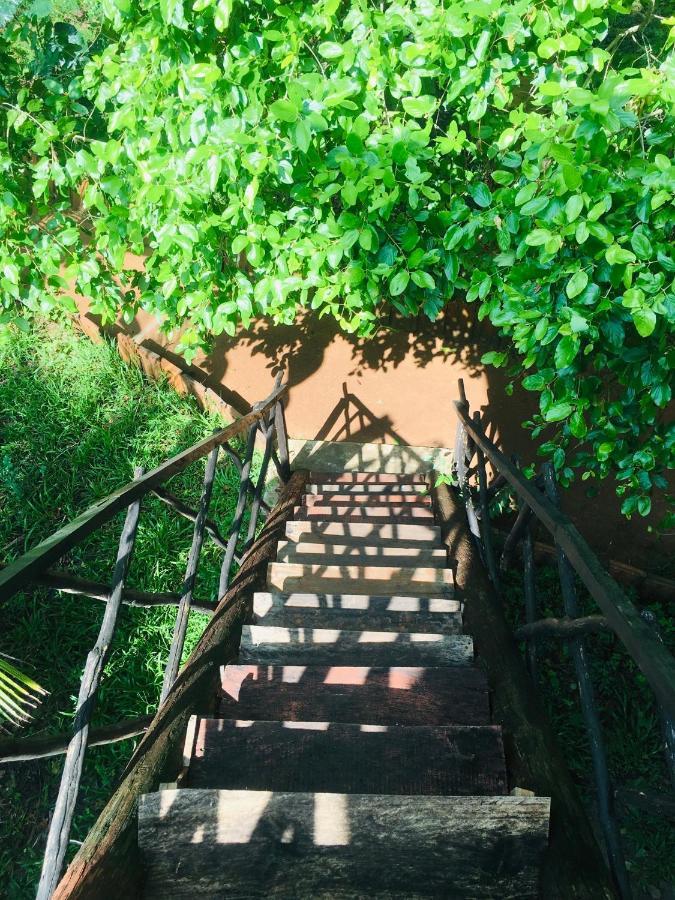 Tree House Hostel Sigiriya Exterior foto