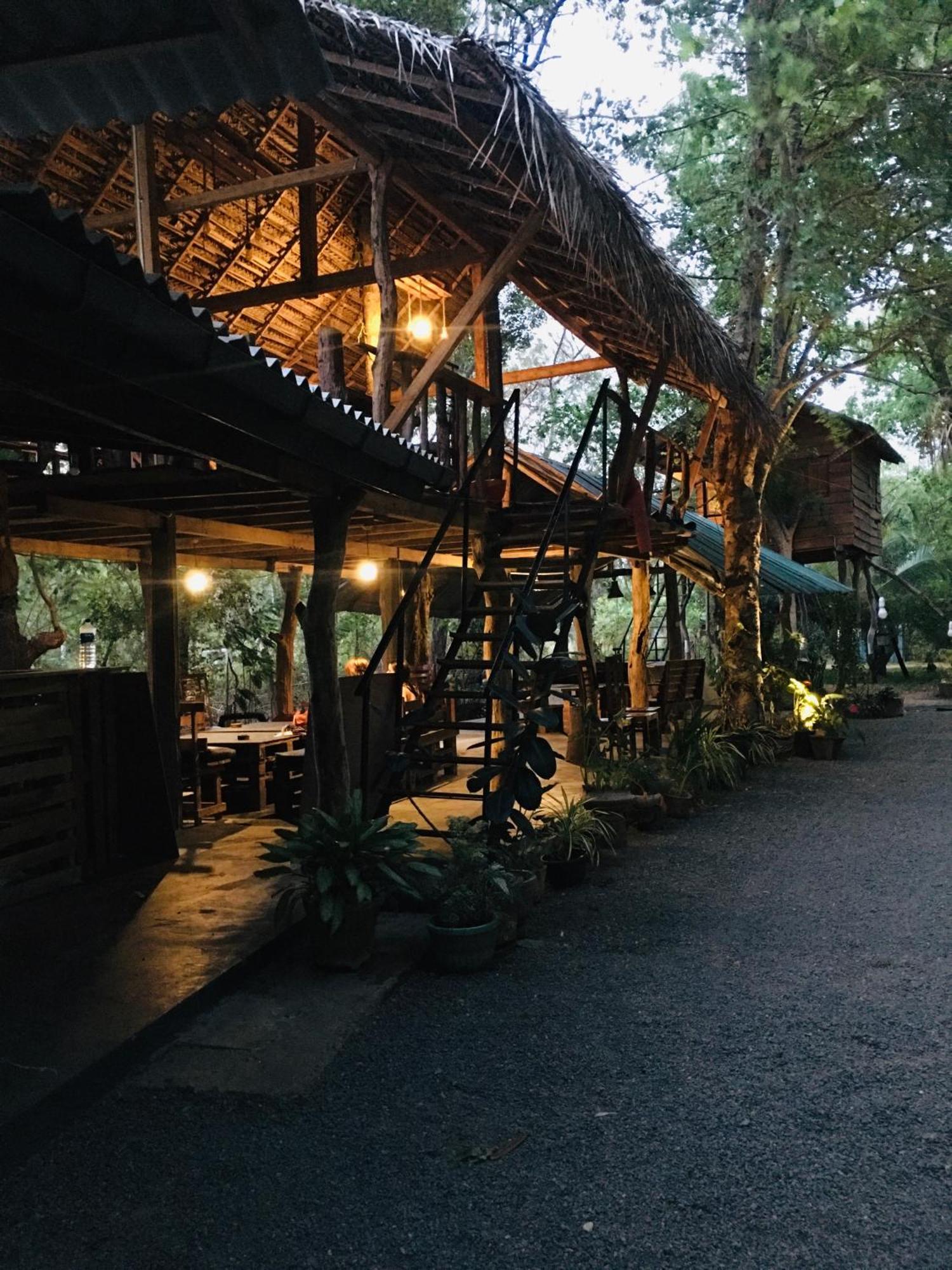 Tree House Hostel Sigiriya Exterior foto